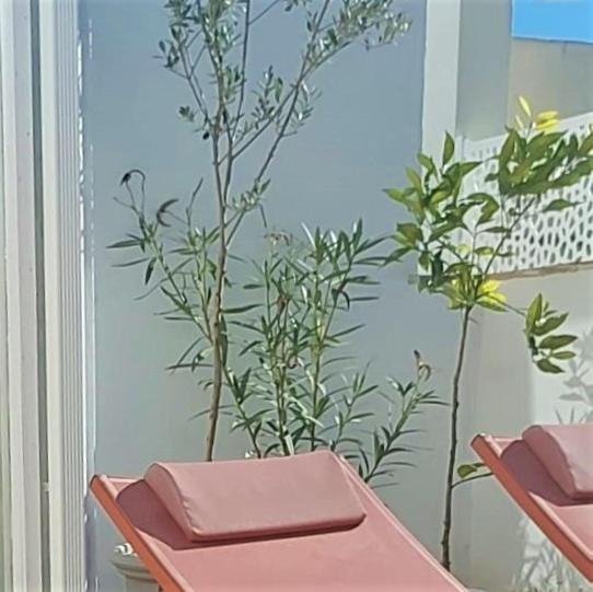 Entre Catedrales Terrace Apartamento *